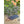 Load image into Gallery viewer, Navy Stripe Garden Kneeler