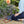 Load image into Gallery viewer, Navy Stripe Garden Kneeler