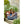 Load image into Gallery viewer, Classic Canvas Garden Tool Bag