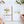 Load image into Gallery viewer, Bouquets Watercolor Workbook