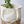 Load image into Gallery viewer, DuPont Paper and Canvas Tote