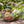 Load image into Gallery viewer, SC Large Harvest Basket - Grey