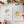 Load image into Gallery viewer, Fruit Watercolor Workbook - Little Flower Soap Co