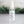 Load image into Gallery viewer, Hand Sanitizer White Thyme & Rosemary - Little Flower Soap Co