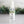 Load image into Gallery viewer, Hand Sanitizer White Thyme & Rosemary - Little Flower Soap Co