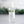 Load image into Gallery viewer, Hand Sanitizer White Thyme & Rosemary - Little Flower Soap Co
