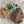 Load image into Gallery viewer, Monstera Leaf Wooden Riser – Handmade Plant Stand or Trivet - Little Flower Soap Co