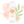 Load image into Gallery viewer, Set of 5 Lip Balms - Lil Lippies Wild Bunch