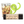 Load image into Gallery viewer, Rum and Coke Lip Balm - Stocking Stuffer - Little Flower Soap Co