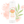 Load image into Gallery viewer, Set of 5 Lip Balms - Lil Lippies Wild Bunch - Little Flower Soap Co