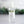 Load image into Gallery viewer, Hand Sanitizer Spray Lavender Citrus
