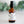 Load image into Gallery viewer, Face Serum - Geranium Face Oil for all skin types - Little Flower Soap Co