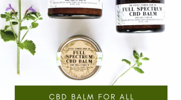 What is CBD - a study of the benefits of Hemp Oil & its legality