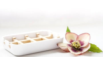 Biodegradable Soap Dish - Little Flower Soap Co
