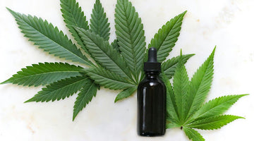 Quick and Effective Relief with CBD