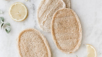 Natural Oval Loofah Sponge