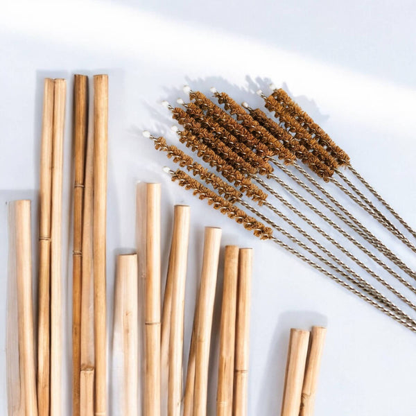 Coconut Fiber Straw Cleaner - Plastic Free