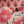 Load image into Gallery viewer, Reversible Quilted Tote Bag - Coral Poppy Print | Laptop Tote
