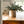 Load image into Gallery viewer, Laurel Crocks - Various Sizes
