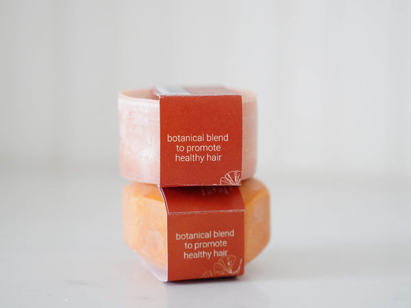 Orange Clove Shampoo & Conditioner Bar Set