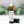 Load image into Gallery viewer, Vanilla Cardamom Roll On Perfume
