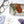 Load image into Gallery viewer, Amethyst Gua Sha Facial Massage Stone - Little Flower Soap Co
