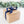 Load image into Gallery viewer, Balance and Uplift Essential Oil - 8oz Soy Wax Candle - Little Flower Soap Co
