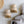 Load image into Gallery viewer, Bamboo Pot Scrubber Brush With Wide Handle | Eco Friendly - Little Flower Soap Cobamboobamboo switchbathroom decorcleaning
