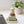 Load image into Gallery viewer, Bamboo Pot Scrubber Brush With Wide Handle | Eco Friendly - Little Flower Soap Cobamboobamboo switchbathroom decorcleaning
