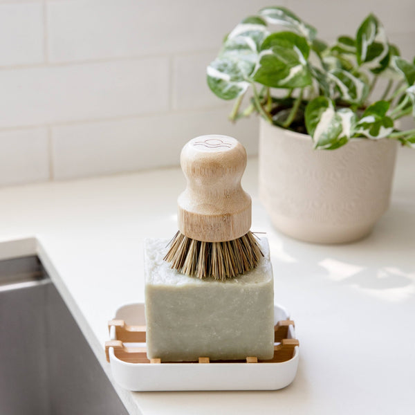 Bamboo Pot Scrubber Brush With Wide Handle | Eco Friendly - Little Flower Soap Cobamboobamboo switchbathroom decorcleaning