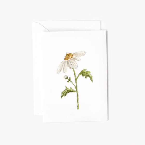 botanical art mini card greeting card daisy vintage handmade painted sketched blank inside