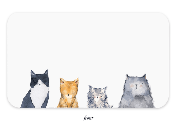 Cat's Meow Little Notes | E. Frances 55 Pack - Little Flower Soap Cocate francis paperlittle notesGreeting Card