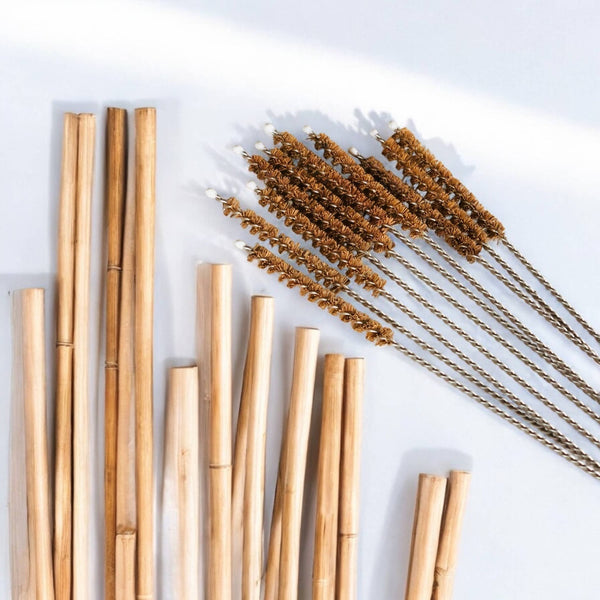 Coconut Fiber Straw Cleaner - Plastic Free - Little Flower Soap Co