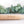 Load image into Gallery viewer, Compostable Bamboo Travel Toothbrush - Little Flower Soap Co
