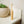 Load image into Gallery viewer, Compostable Bamboo Travel Toothbrush - Little Flower Soap Co

