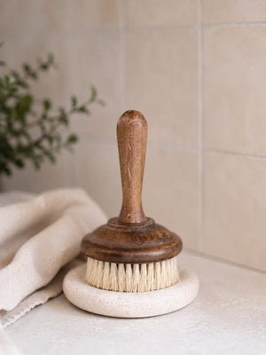 Dish Soap Scrub Brush - Little Flower Soap Codish brushcleaning