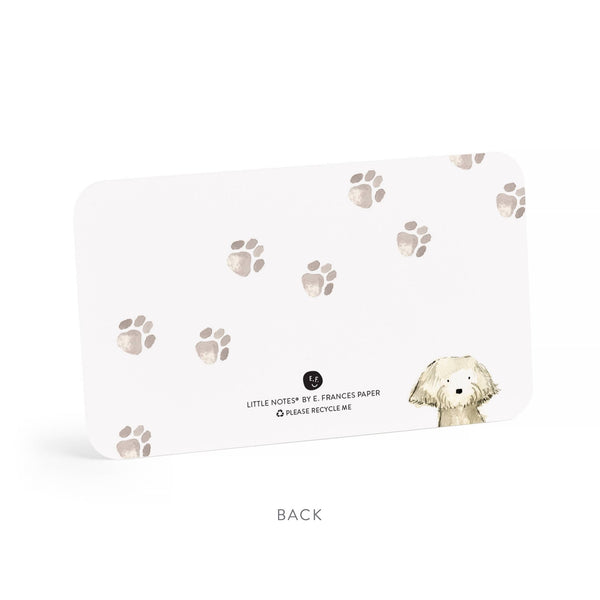 Dog Days Little Notes NEW 55 Count - Little Flower Soap Coanimalblank cardcardGreeting Card