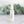 Load image into Gallery viewer, ingredients list essential oil bedtime spray for kids dragon dreams pillow mist

