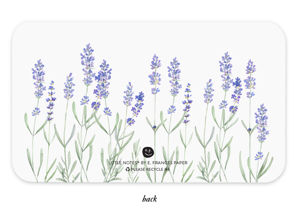 Lavender Little Notes - 85 mini notecards