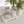 Load image into Gallery viewer, Fluted Jar Canister White Marble - Little Flower Soap Co
