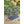 Load image into Gallery viewer, Memory Foam Navy Garden Kneeler - Little Flower Soap Co
