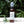 Load image into Gallery viewer, Natural Bug Spray 2oz - Essential Oil Insect Repellent - Little Flower Soap Co
