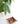 Load image into Gallery viewer, Simple Juniper Valet Tray - Little Flower Soap Co
