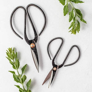 Two pairs of vintage-inspired black metal scissors with high-carbon steel blades, displayed on a white surface surrounded by green leaves.
