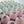Load image into Gallery viewer, Essential Oil Bath Bombs - Gift Box of 5 - Little Flower Soap Co
